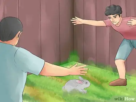 Immagine titolata Catch a Pet Rabbit Step 16