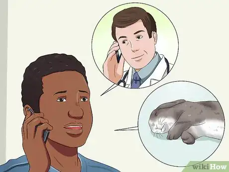 Immagine titolata Treat Heat Stroke in Rabbits Step 5
