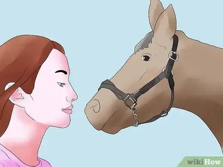 Immagine titolata Calm Your Horse Down Quickly Step 5