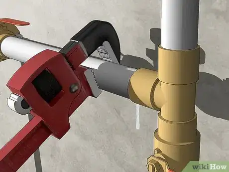 Immagine titolata Get Rid of Earwigs Step 11