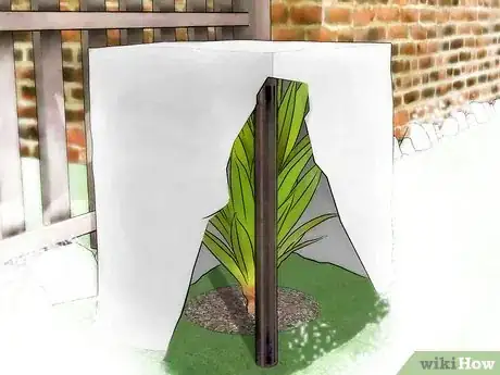Immagine titolata Protect Plants from the Cold Step 3