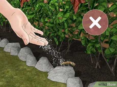Immagine titolata Does Salt Kill Slugs Step 2