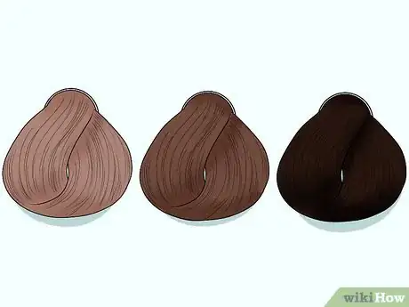Immagine titolata Lowlight Hair Yourself Step 2