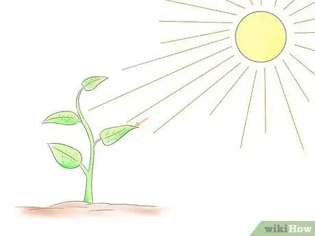 Immagine titolata Mix Hydroponics Nutrients Step 1