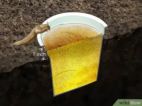 Immagine titolata Does Salt Kill Slugs Step 8