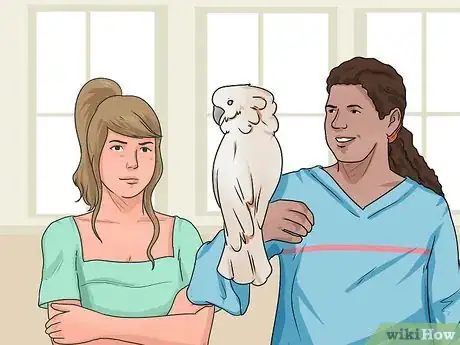 Immagine titolata Teach Your Bird to Talk Step 7