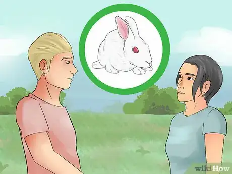 Immagine titolata Catch a Pet Rabbit Step 10