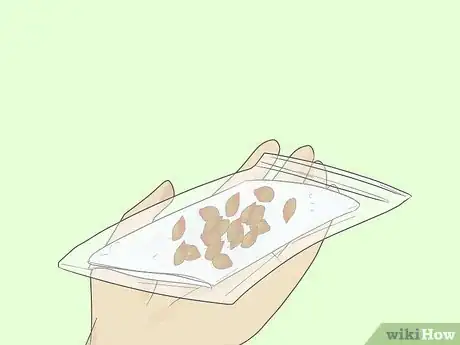 Immagine titolata Germinate Tree Seeds Step 15