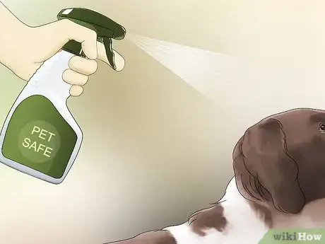 Immagine titolata Keep Flies Off Dogs Step 13