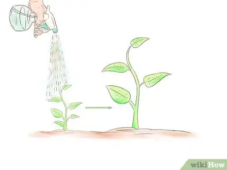 Immagine titolata Mix Hydroponics Nutrients Step 3