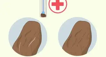 Espellere i Vermi Parassiti dell'Intestino