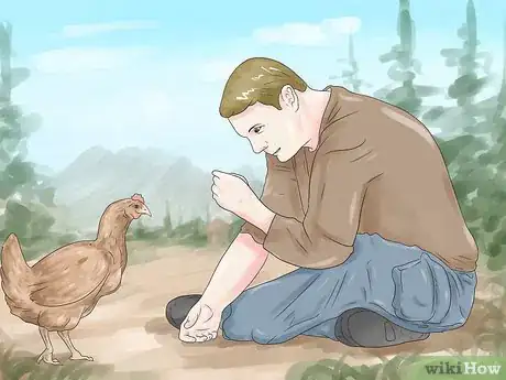 Immagine titolata Talk to Your Chickens Step 1