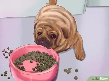Immagine titolata Live with a Pug Dog Step 1