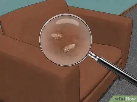 Immagine titolata Stop Bed Bug Bites Immediately Step 24