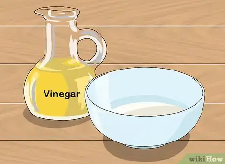 Immagine titolata Clean Makeup Brushes with Vinegar Step 6