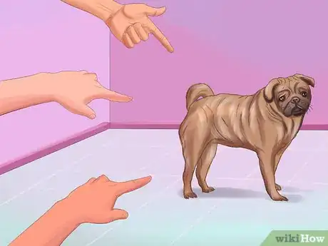 Immagine titolata Live with a Pug Dog Step 5