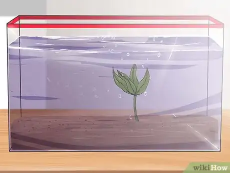 Immagine titolata Set up an Aquarium With Live Plants Step 9