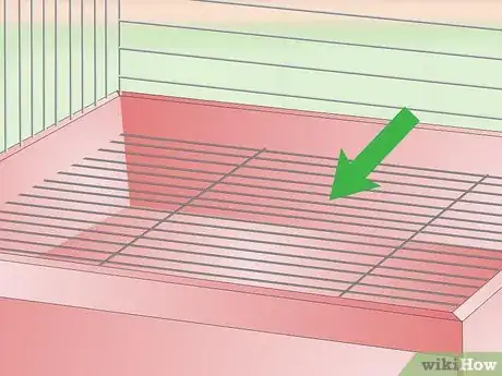 Immagine titolata Set Up a Parrotlet Cage Step 4