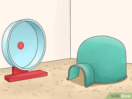 Immagine titolata Take Care of a Hedgehog Step 8