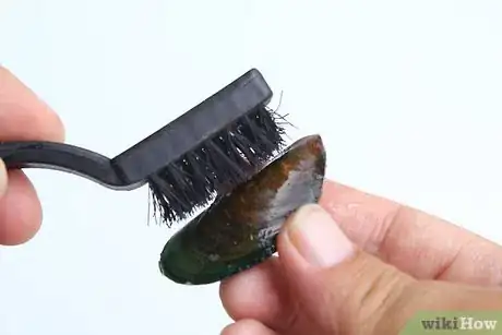 Immagine titolata Store Mussels Step 7