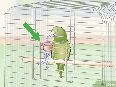 Immagine titolata Set Up a Parrotlet Cage Step 8