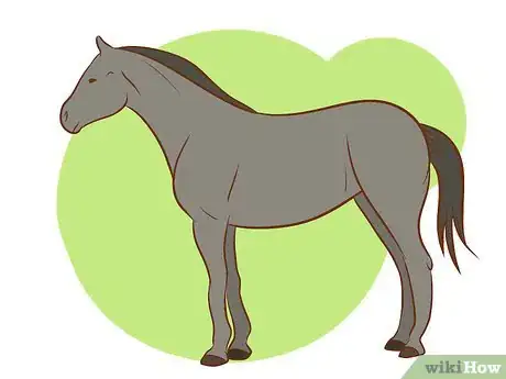 Immagine titolata Distinguish Horse Color by Name Step 2Bullet7