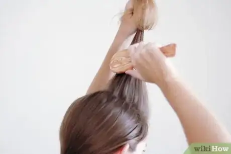 Immagine titolata Tease Your Hair Step 3
