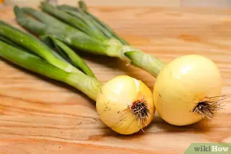 Immagine titolata Tell the Difference Between Spring Onions, Shallots, and Green Onions Step 2