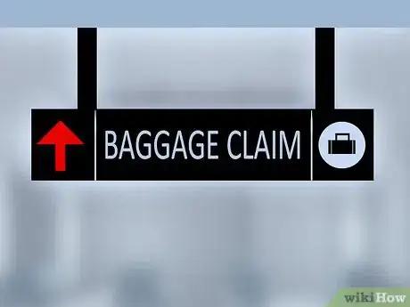Immagine titolata Go Through U.S. Customs Step 5