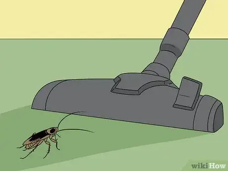 Immagine titolata Do Pest Control With a Vacuum Cleaner Step 7