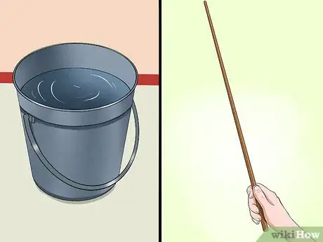 Immagine titolata Catch a Lizard Without Using Your Hands Step 2