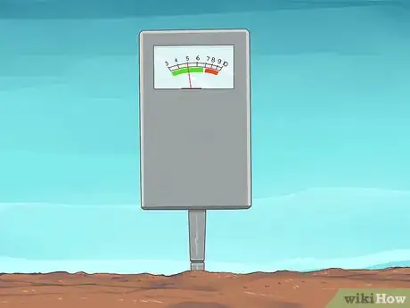 Immagine titolata Grow Avocados Step 4