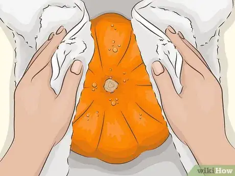 Immagine titolata Preserve a Pumpkin Step 2