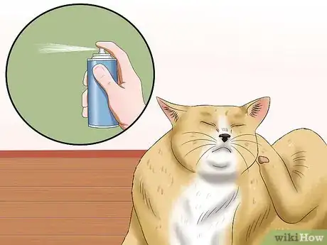 Immagine titolata Stop a Cat from Pulling Its Hair Out Step 2