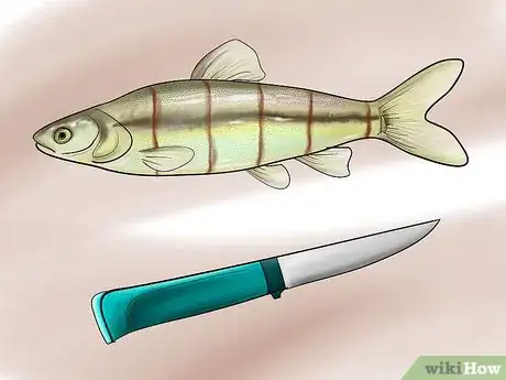 Immagine titolata Bait a Fishing Hook Step 6