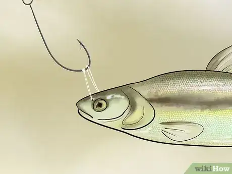 Immagine titolata Bait a Fishing Hook Step 24