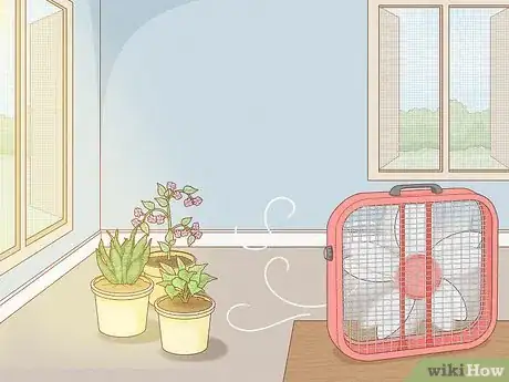 Immagine titolata Get Rid of Mold on Houseplants Step 11