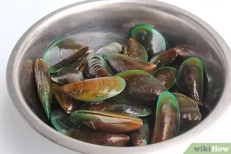 Immagine titolata Store Mussels Step 1