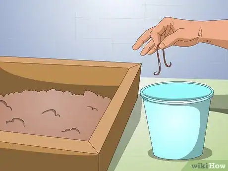 Immagine titolata Make a Worm Farm Step 8