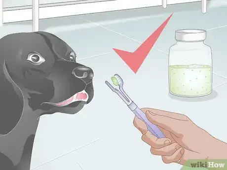 Immagine titolata Make Dog Toothpaste Step 17