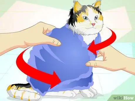 Immagine titolata Check a Cat's Temperature Step 3
