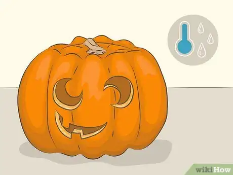 Immagine titolata Preserve a Pumpkin Step 7