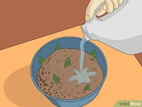 Immagine titolata Make Fermented Plant Juice (Organic Fertilizer) Step 2