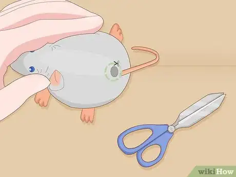 Immagine titolata Make Cat Toys out of Common Household Items Step 9
