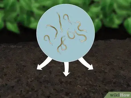 Immagine titolata Does Salt Kill Slugs Step 9