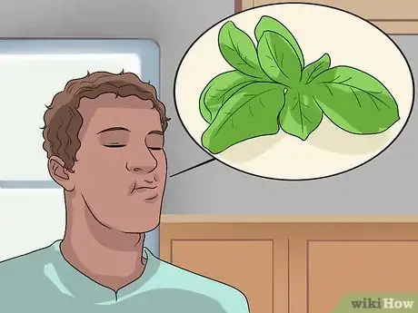 Immagine titolata Stop a Mouth Ulcer from Hurting Step 8
