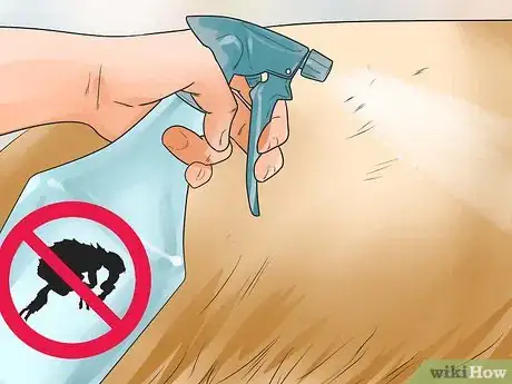 Immagine titolata Keep Fleas Off Dogs Step 11