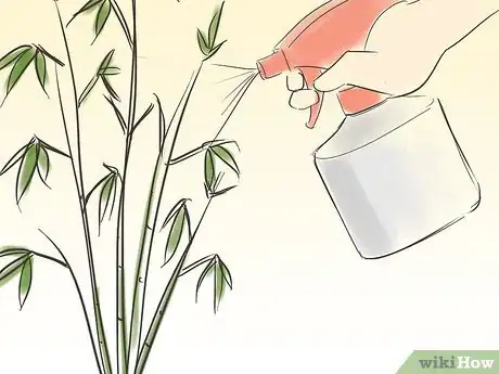 Immagine titolata Care for an Indoor Bamboo Plant Step 5