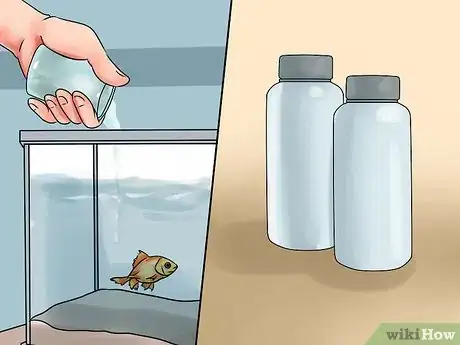 Immagine titolata Test Ph in a Fish Tank Step 9