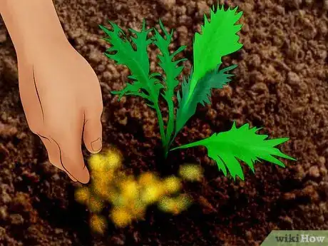 Immagine titolata Kill Weeds Step 9